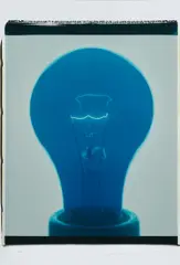 Light Bulb 0050 by Amanda Means, 2001, Unique Polaroid print, sold Oct 2020