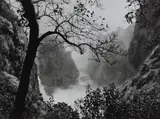 Victoria Falls with Tree, Zimbabwe by Sebastião Salgado, 2008, Gelatin silver print, sold Oct 2020