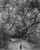 Wynn Bullock, Boy on Forest Road, 1958, Gelatin silver print, printed 1960s