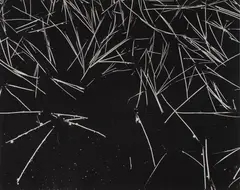 Grass and Pool, Yosemite, CA by Ansel Adams, 1932, Gelatin silver print from Portfolio Three , printed 1959, sold Oct 2020