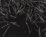 Ansel Adams, Grass and Pool, Yosemite, CA