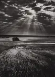 Sebastião Salgado, Herd of Buffalo, Kafue National Park, Zambia