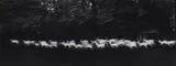 Paul Caponigro, Running White Deer, County Wicklow, Ireland