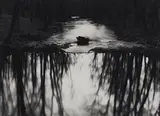 Paul Caponigro, Reflecting Stream, Redding, Connecticut