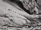 Chinstrap Penguins on an iceberg located between Zavodovski and Visokoi Islands. South Sandwich Islands by Sebastião Salgado, 2009, Gelatin silver print, printed 2010, sold Oct 2020