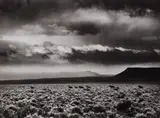 Sebastião Salgado, Wild horses in Navajo territory, bordering on the Grand Canyon. Arizona