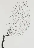 Pentti Sammallahti, Delhi, India (flock of birds), 1999, Gelatin silver print, printed 2018