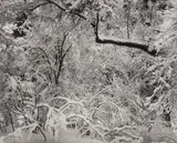 Ansel Adams, Fresh Snow, Yosemite Valley, California, circa 1947, Gelatin silver print from Portfolio VI , printed 1974