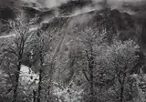 Trees and Cliff at Eagle Peak, Winter, Yosemite by Ansel Adams, circa 1935, Gelatin silver print, printed 1973-1977, sold Oct 2020