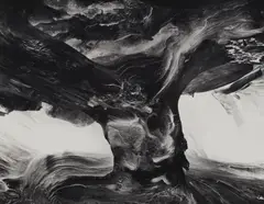 Tree Trunk by Wynn Bullock, 1971, Gelatin silver print, offered Oct 2020