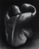 Edward Weston, Pepper No. 30