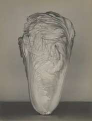 Chard by Edward Weston, 1927, Gelatin silver print, offered Oct 2020