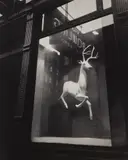 Berenice Abbott, Designer Window, Bleecker Street