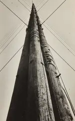 Untitled (telegraph pole) by Alexander Rodchenko, 1920s, Gelatin silver print, printed later, offered Oct 2020