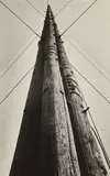 Alexander Rodchenko, Untitled (telegraph pole)