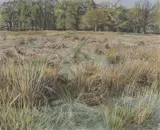 Christopher Bramham, Untitled, pastel 33 x 39cm