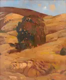 California School, Foothills and Trees