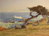Ferdinand Burgdorff, Carmel coast