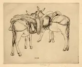 Robert Austin, Donkeys of Selva (Island of Majorca) (D. 78), 1928, Engraving on laid paper