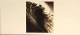 Robert Longo, September, from Wave Portfolio, 2001, Lithograph on cream wove paper
