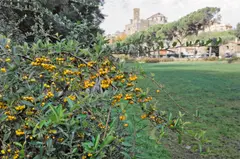 Richard Benson, Tuscany, Italy, 2009, Multiple impression pigment print