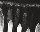 Walter Chappell, Picket Fence, 1958, Gelatin silver print