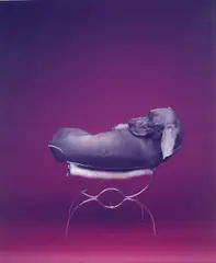 Seated Burner by William Wegman, 1989, Unique color Polaroid print mounted on archival board, offered Dec 2012