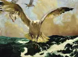 Jamie Wyeth, The Warning