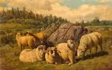 Arthur Fitzwilliam Tait, Sheep Reposing