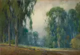 Percy Gray, Eucalyptus in Marin County, California