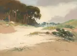 Mary DeNeale Morgan, Carmel dunes and coastal trees