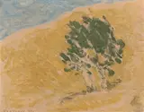 Gottardo Piazzoni, Study for summer at the ranch
