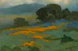 Ralph Davison Miller, Poppies and lupine, 1918, oil on board