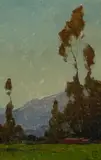 Frank Tolles Chamberlin, Eucalyptus with mountains beyond, oil on canvas board