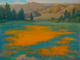 John Marshall Gamble, Calce de oro, Poppy field near Banning