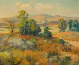 Maurice Braun, The hillside