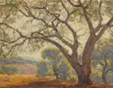 Hanson Puthuff, Shadow of the oaks, oil on canvas