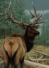 Guy Joseph Coheleach, Stag in a felled and wooded landscape, 1988, oil on canvas