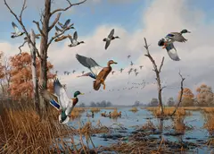 David A. Maass, Mallards in flight, oil on masonite