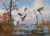 David A. Maass, Mallards in flight, oil on masonite