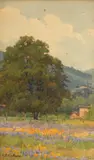 Lorenzo Palmer Latimer, Oak tree, mountains, lupine and poppies, Ukiah, 1918, watercolor on paperboard