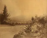 Julian Rix, Untitled (Riverscape with evergreen and succulents), n.d.