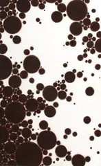 Dianne Romaine, Flux #62, 2006, acrylic on canvas