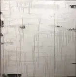 James Jarrett, Valentino Noir No. 8, 2005, acrylic on linen