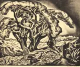 Howard Cook, Desert Tree (Mexican Landscape) (D. 177)