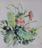 Rosita Manahan, Polyanthus Primrose, Watercolour