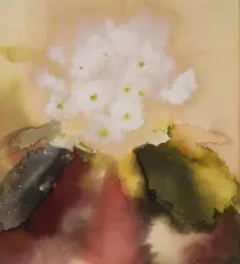 Caroline Bailey, White Primula, Watercolour