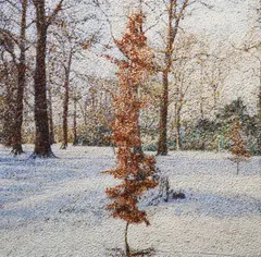 P. Mulcahy, Snowy Winter Trees, Oil on canvas