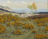Mabel Young, Wicklow Gold (Looking Towards Sorrento Terrace)