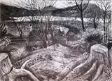 Sarah Longley, The Top Of The Garden, (2012) Charcoal on paper